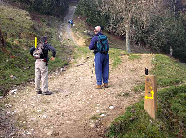 Cruce de caminos