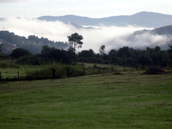 puenteulla